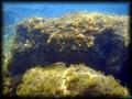 2007-04-22_premier_bain